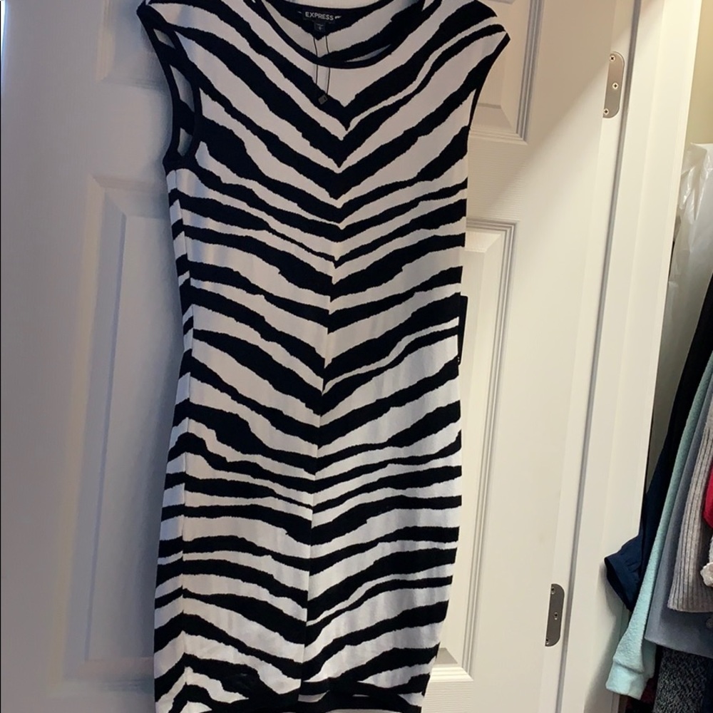 Zebra Print Dress - Express